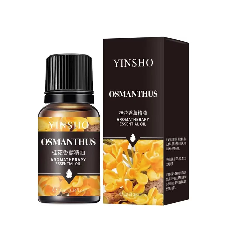Essential Oils 12 Scents Meditation for Aromatherapy Diffuser Air Humidifier Aromatherapy Air Freshener Perfume Essential Oils